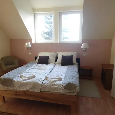 Hotel Kenese ホテル