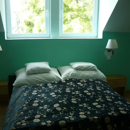 Hotel Kenese ホテル 4*